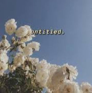 Meet your Posher, Ava